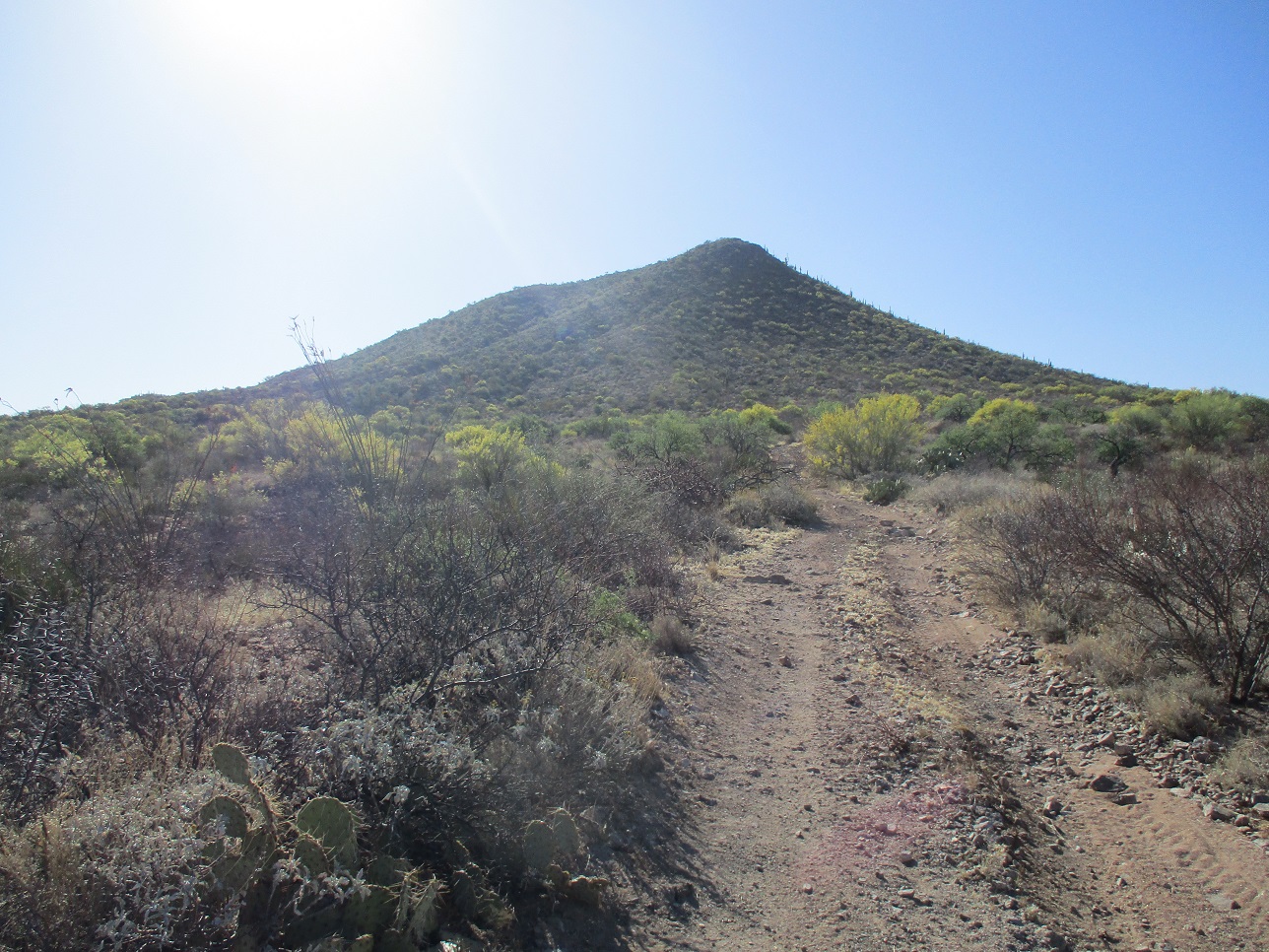 Pistol Peak, Arizona