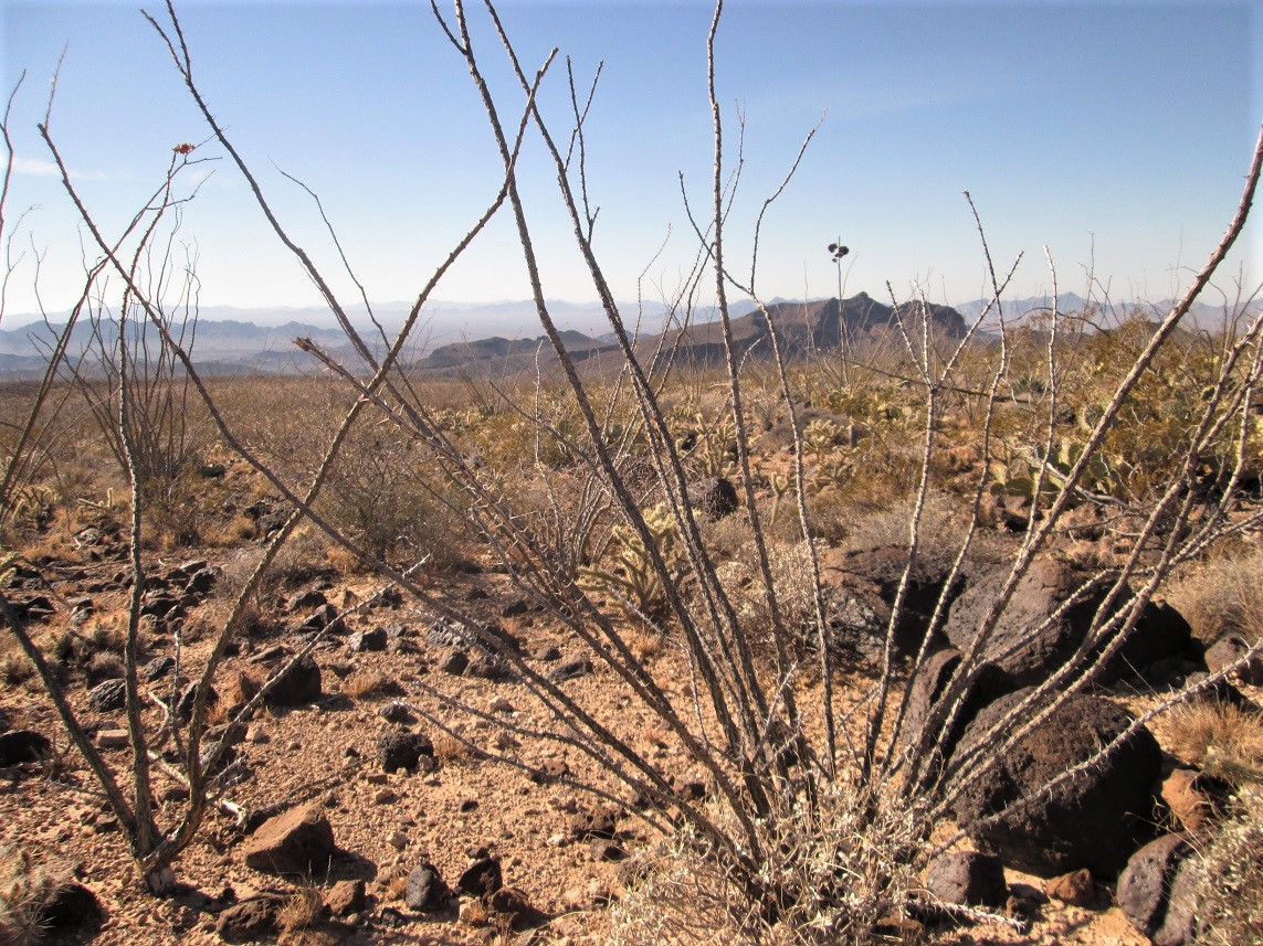 Black Mesa Plomosa Range, Arizona