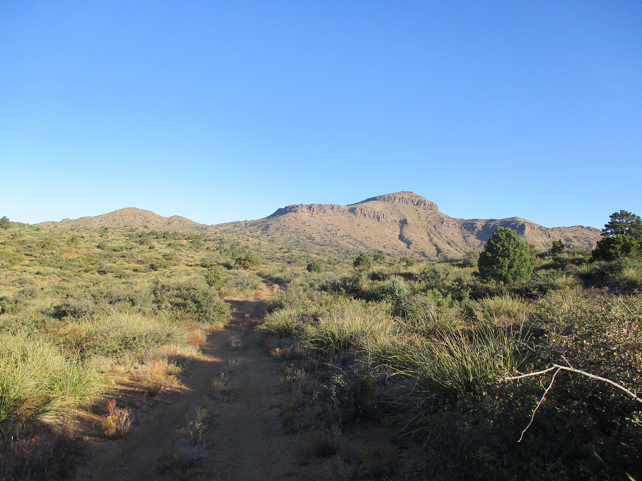 Rockinstraw Mountain, Arizona