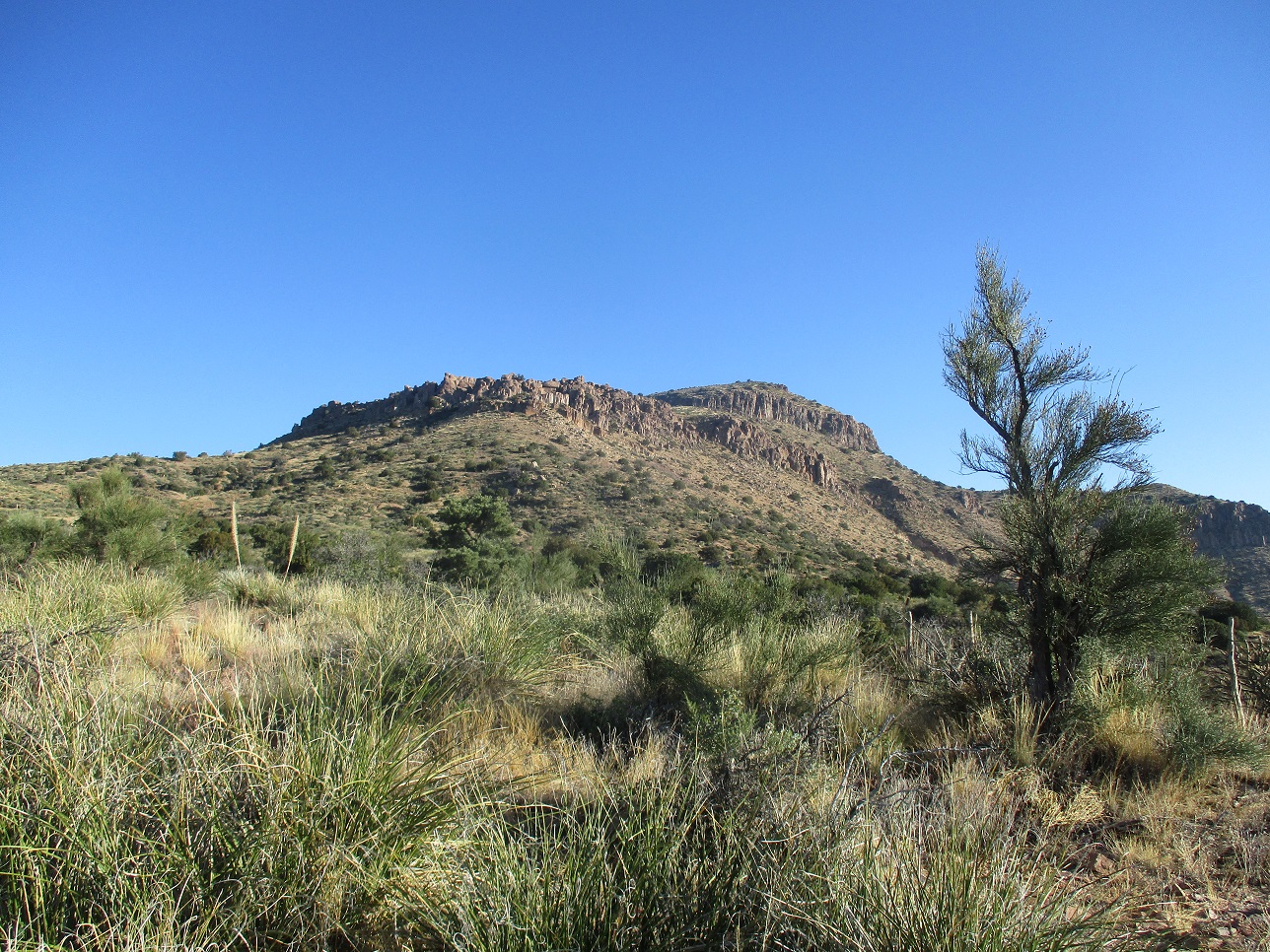 Rockinstraw Mountain, Arizona