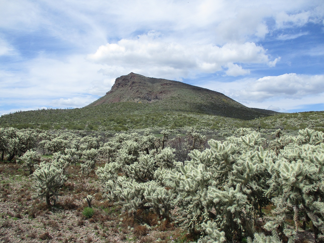 Saddle Mountain, San Carlos Nation