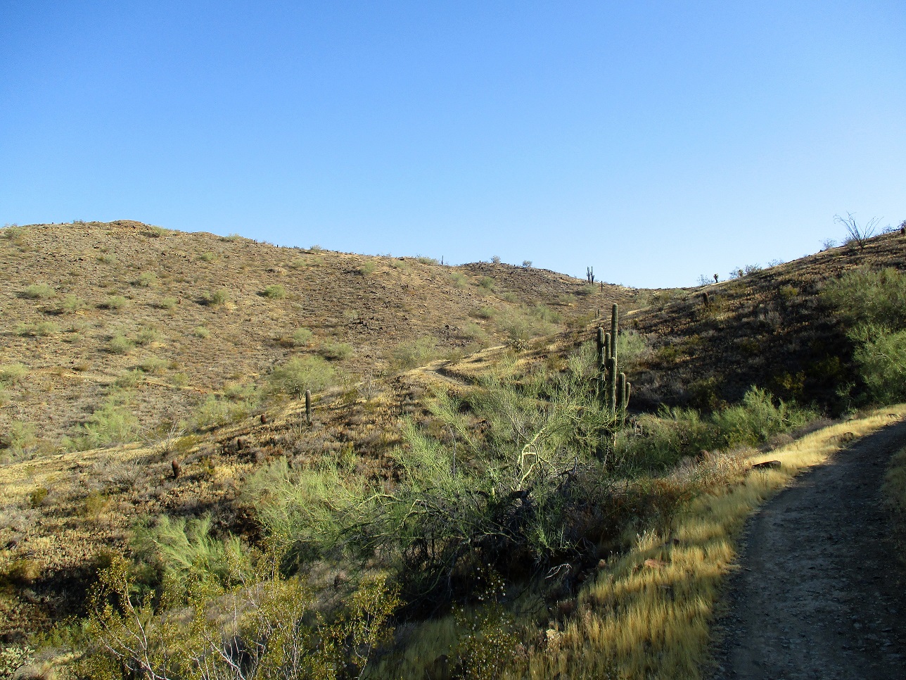 Sidewinder Trail Vista, Arizona