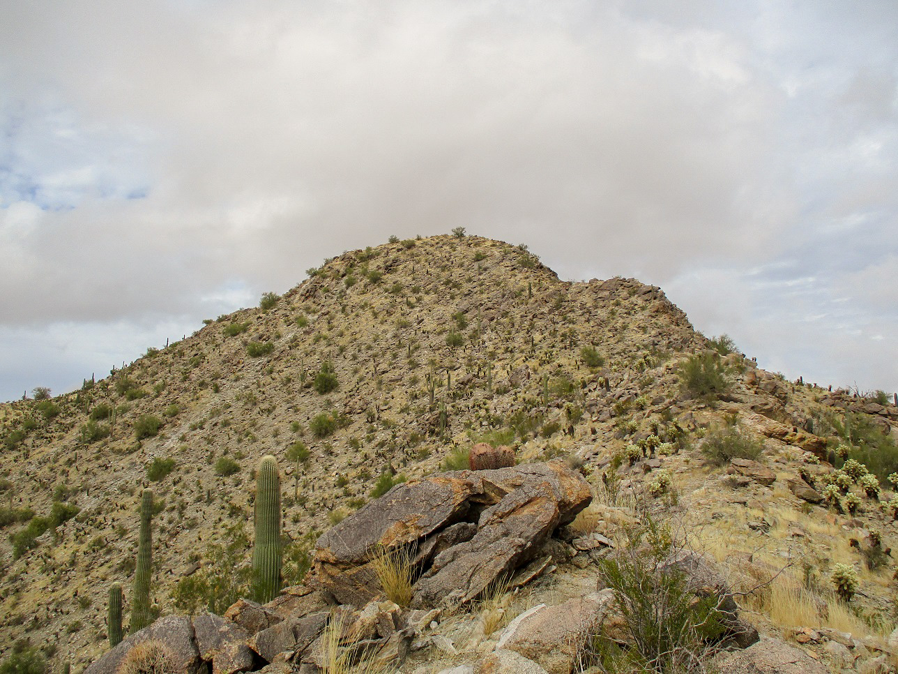 Singal Peak, Central Arizona College