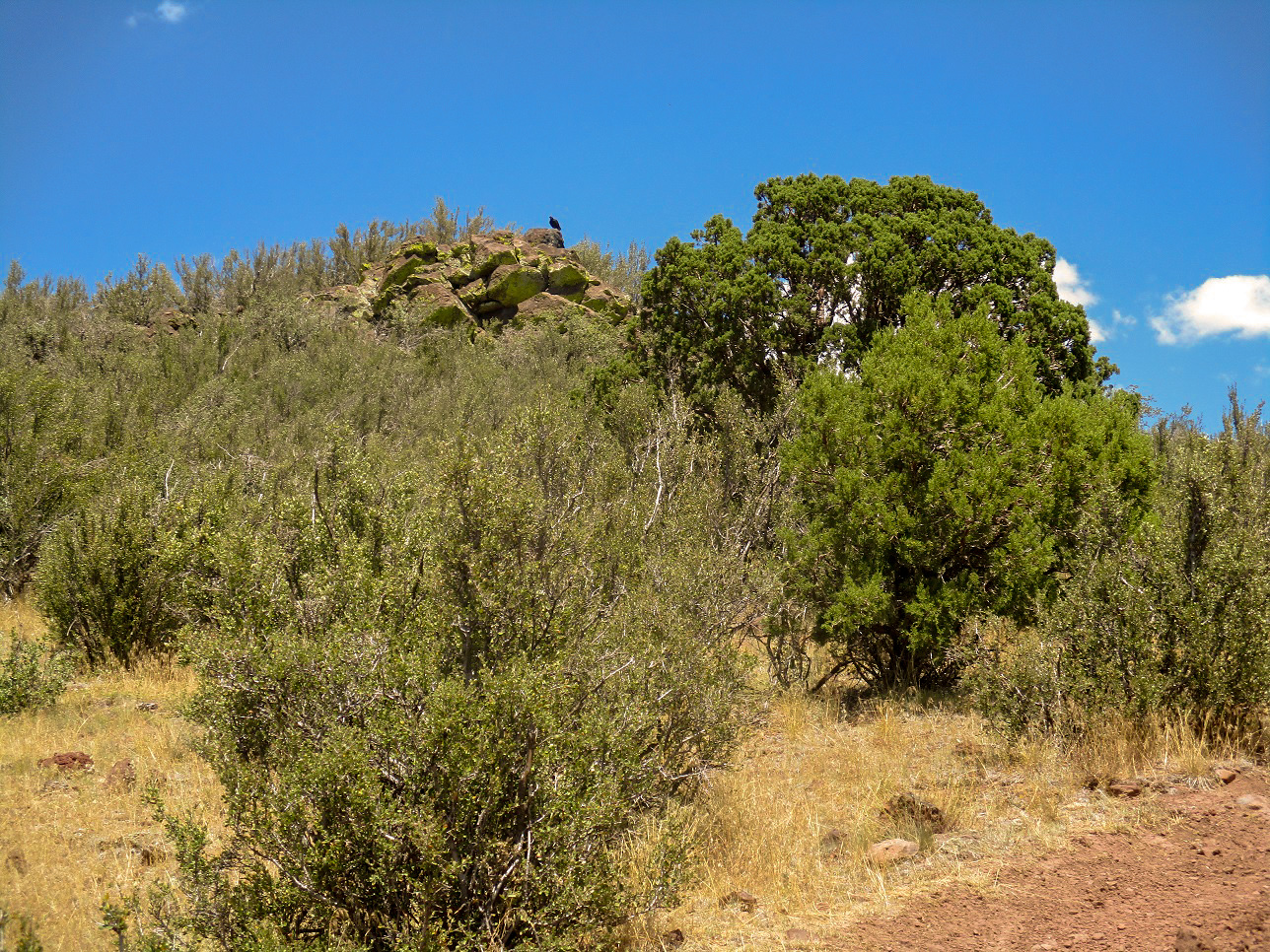 Wild Bill Hill Dude Mountain Signal Hill, Arizona