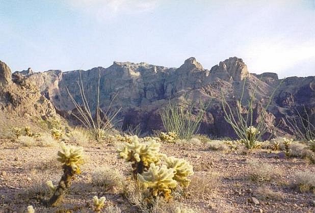 kofa mountains