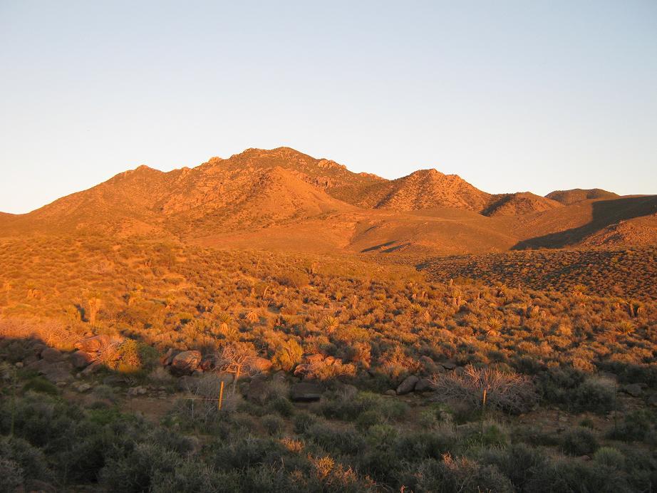 Mount Tipton, Arizona
