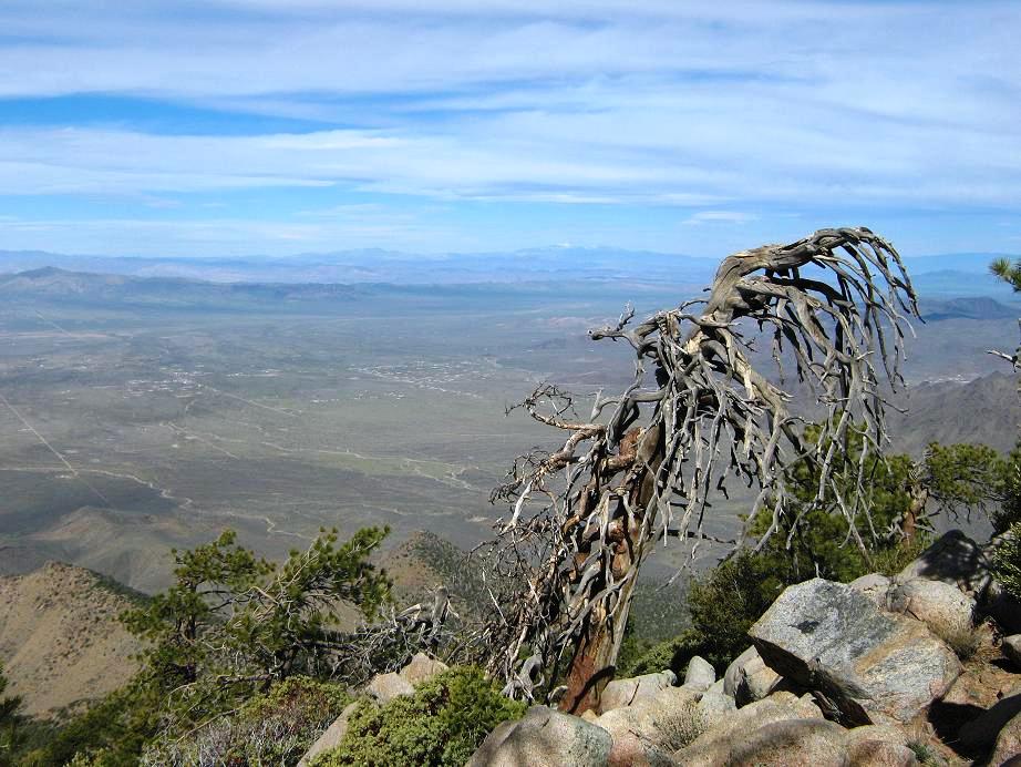 Mount Tipton, Arizona