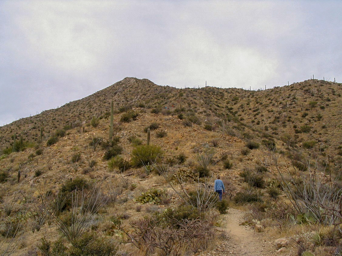 Wasson Peak, Arizona