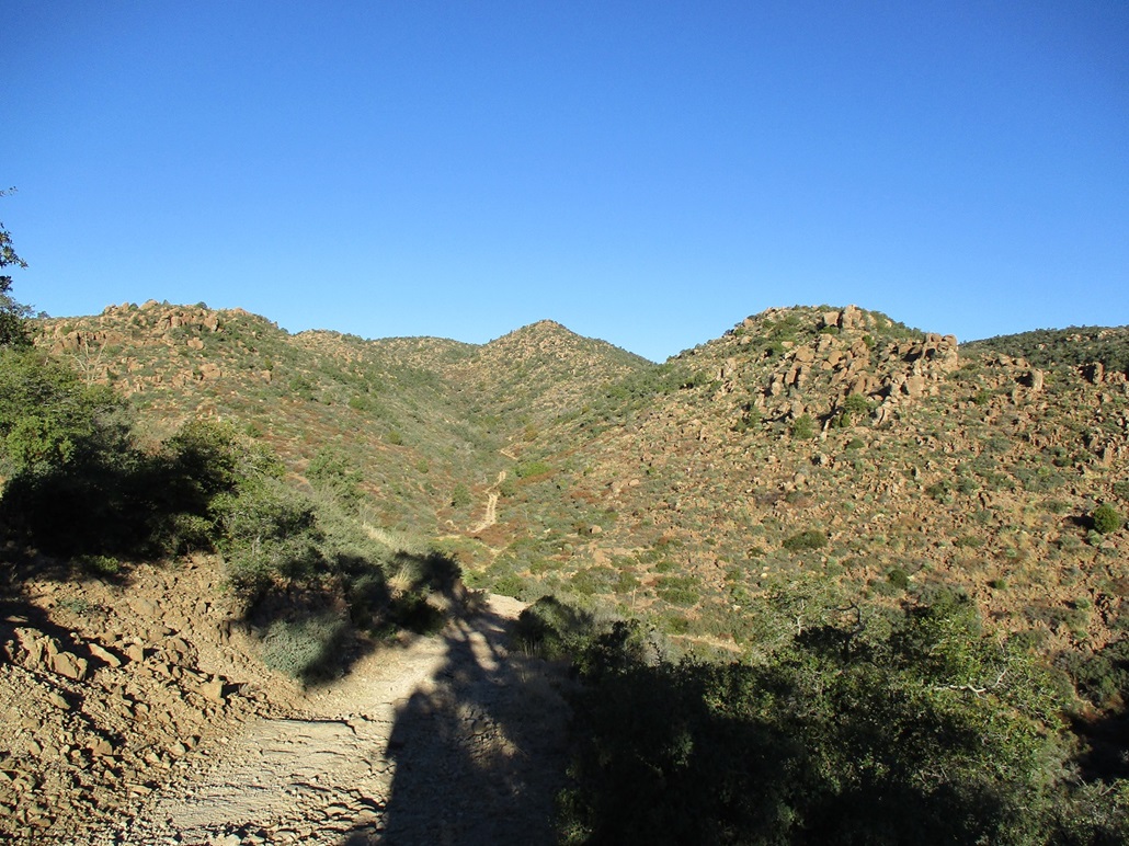 Webster Mountain, Arizona