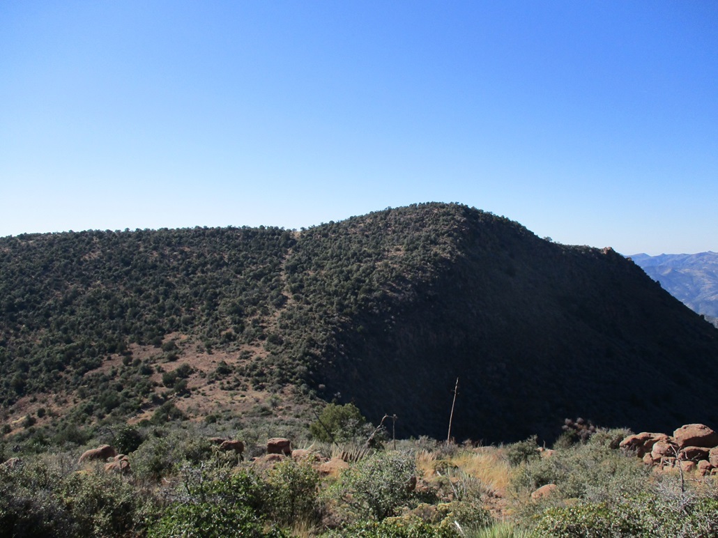 Webster Mountain, Arizona