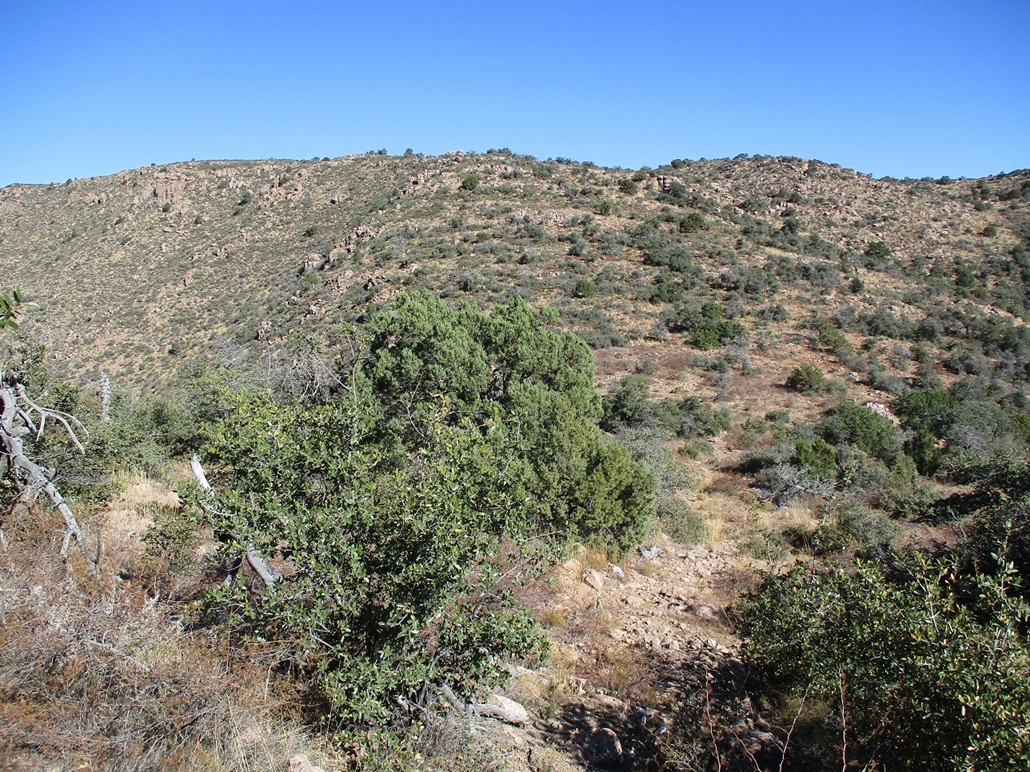 Webster Mountain, Arizona