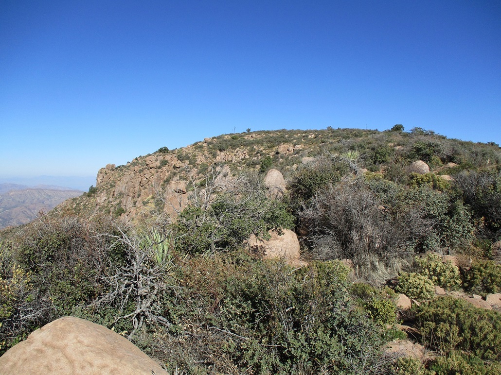 Webster Mountain, Arizona