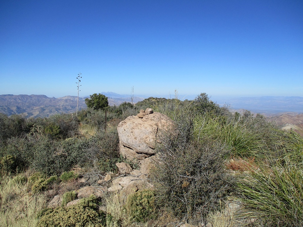 Webster Mountain, Arizona