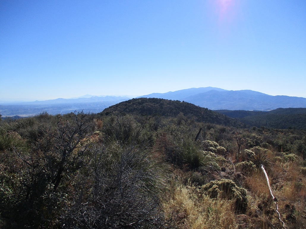 Webster Mountain, Arizona