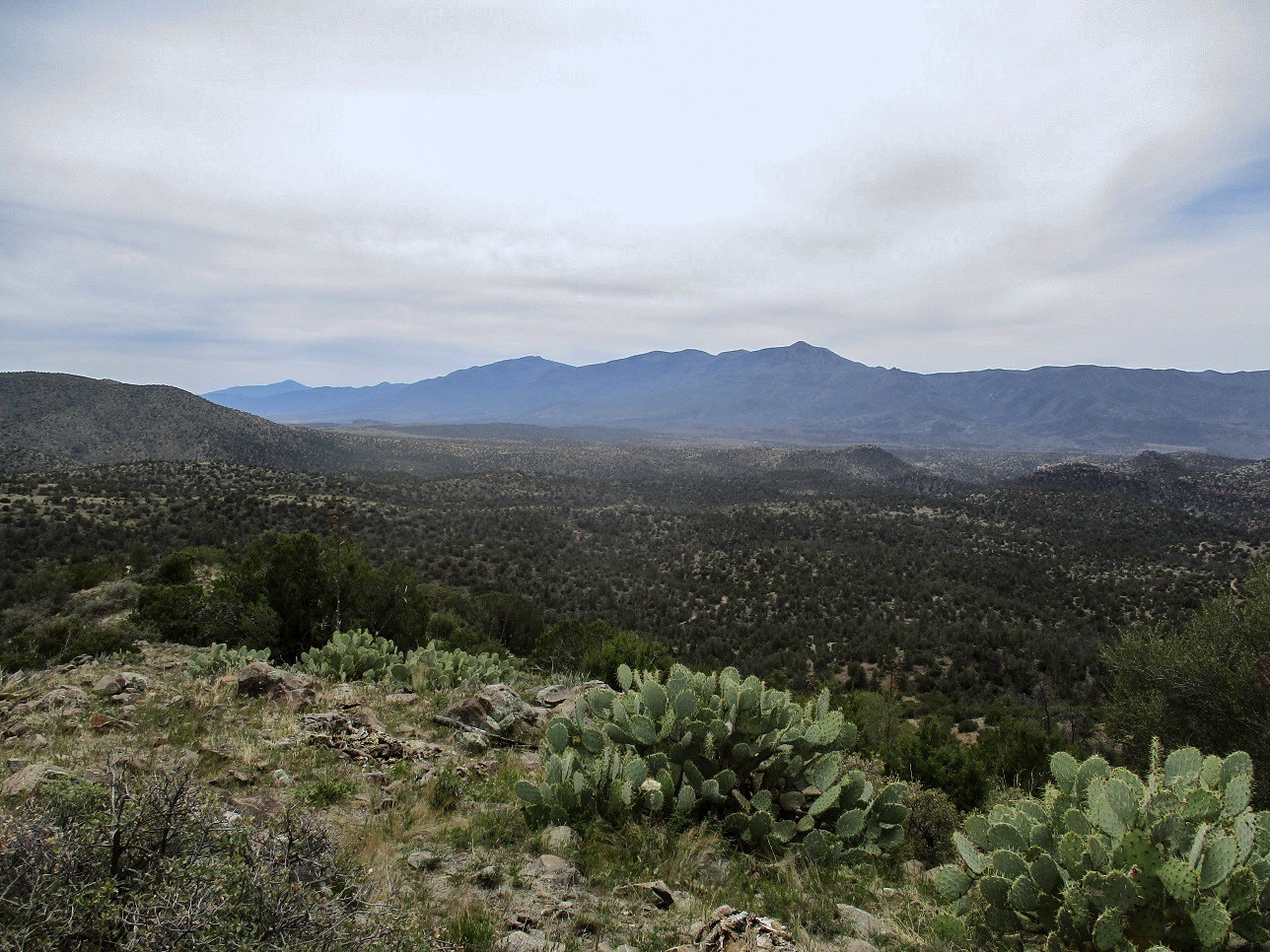 White Mountain Tonto NF, Arizona