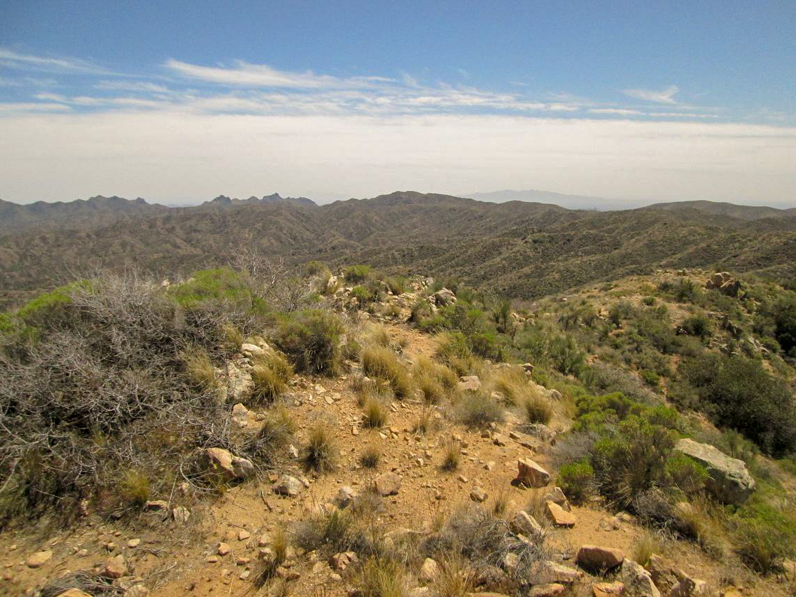 Wickenburg Mountains, Arizona