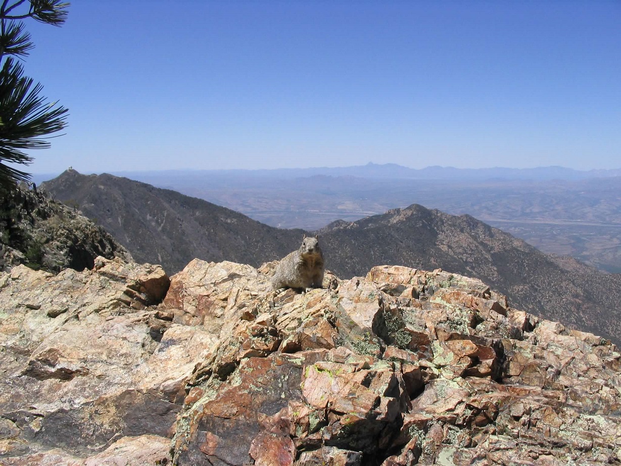 Mount Wrightson, Arizona
