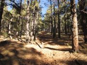 A 1 Mountain, Arizona
