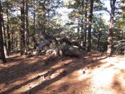 A 1 Mountain, Arizona