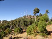 Mount Bigelow, Arizona