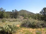 Bishop Knoll, Arizona
