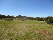 Bishop Knoll, Arizona