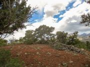Darton Dome, Arizona