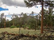 Darton Dome, Arizona