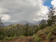 Darton Dome, Arizona