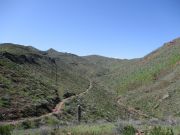 Deer Hill, Arizona