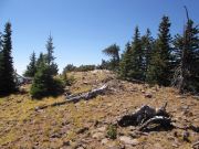Doyle Peak, Arizona