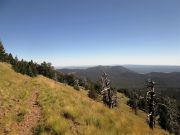 Doyle Peak, Arizona