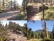 Doyle Peak, Arizona