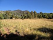 Doyle Peak, Arizona