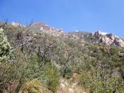 East Pocket Knob A B Young Trail, Arizona