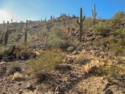 East Wing Mountain, Arizona