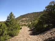 Flat Top Springerville Eagar, Arizona
