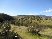 Gold Creek, Arizona