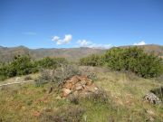 Gold Creek, Arizona