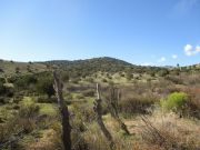 Gold Creek, Arizona