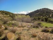 Gold Creek, Arizona