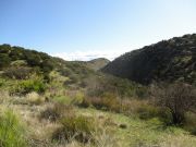 Gold Creek, Arizona