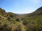Governors Mountain, Arizona