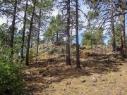 8147 Hollingshead Mountain, Arizona