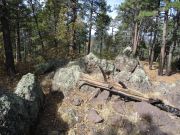 8147 Hollingshead Mountain, Arizona