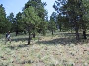 Horseshoe Hill, Arizona
