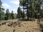 Horseshoe Hill, Arizona