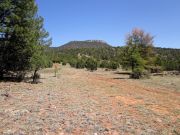 Juniper Mesa, Arizona