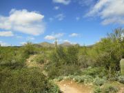 Lost Dog Peak, Arizona