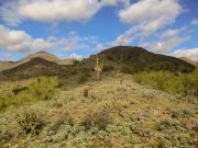 Lost Dog Peak, Arizona